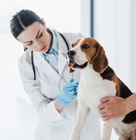 Karaçoban Veteriner