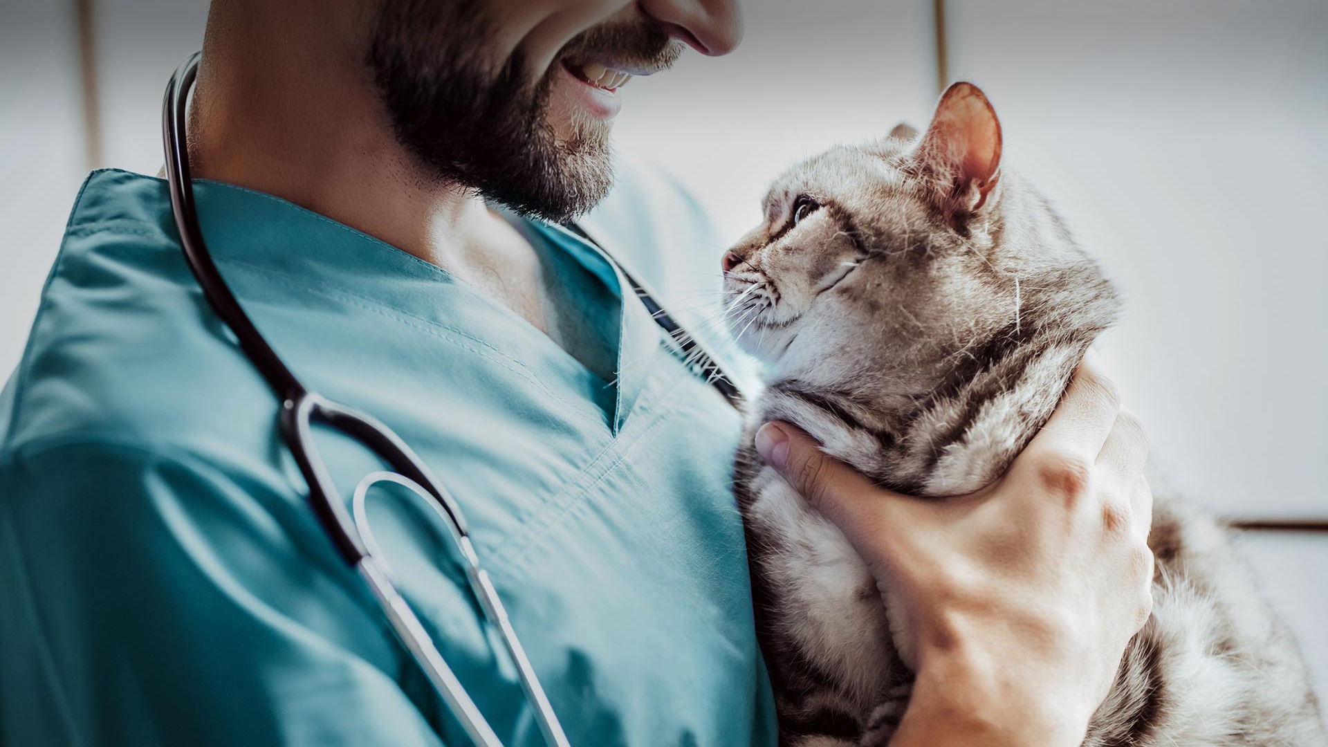 Karaçoban Veteriner